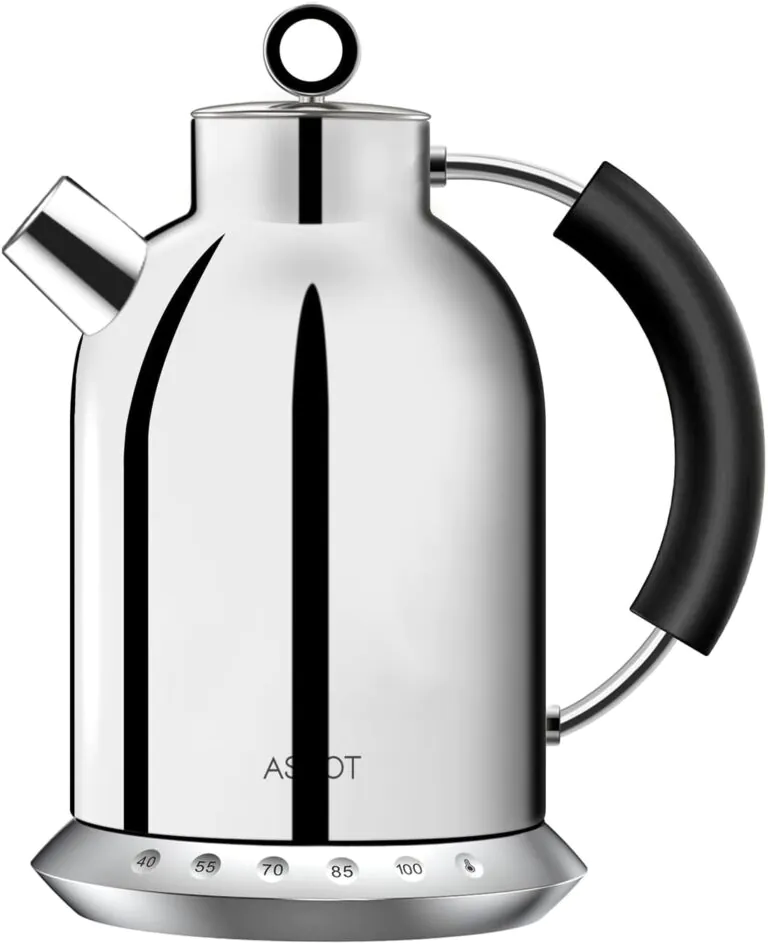 Fully stainless steel modern kettle with temperature control
