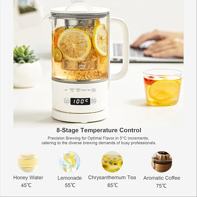 Glass kettle with built in tea infuser